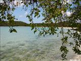 Playa La Plata - VIEQUES